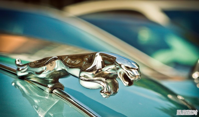 水瓶座女生霸气文案，水瓶座女生性格文案 - 星座运势