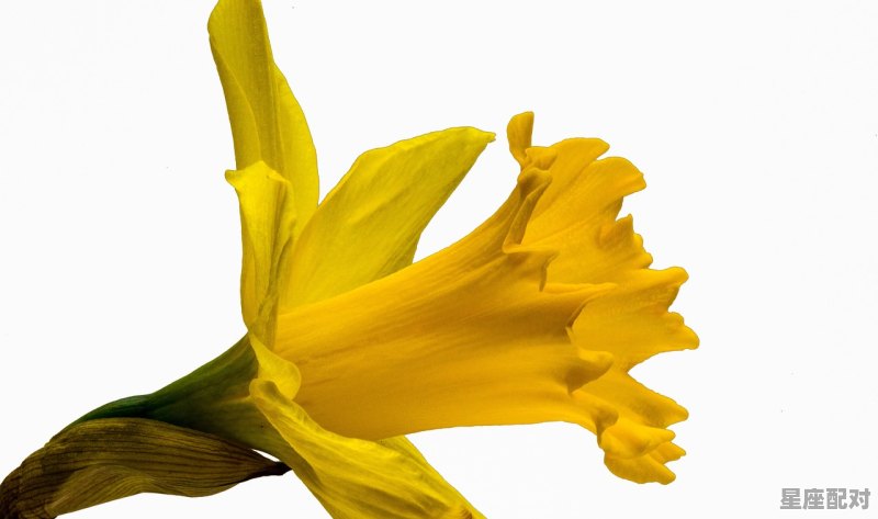 天喜红鸾桃花查询对照表 - 星座运势