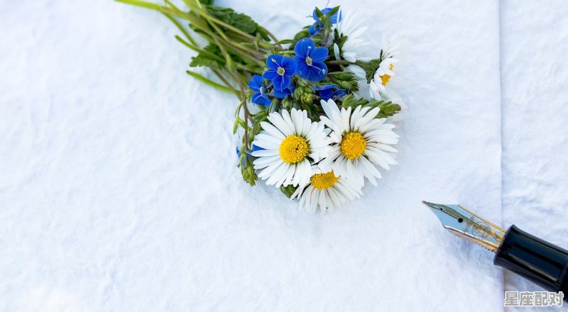 2019年爱情容易出现问题的星座 - 星座运势