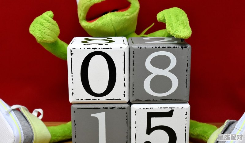 正印格是什么意思 - 星座运势