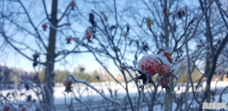2004年猴在2023年6上旬考试运势如何_马虎迎吉年什么意思 2004年猴在2023年6上旬考试运势如何_马虎迎吉年什么意思 - 星座运势