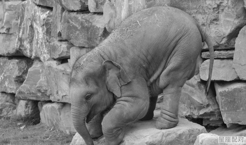 五个相似的沙雕名字 - 星座运势