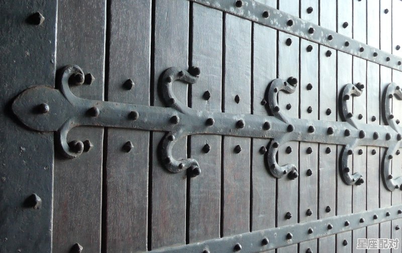 蛇口逃生锁怎么装上 蛇口逃生锁怎么装上 - 星座运势