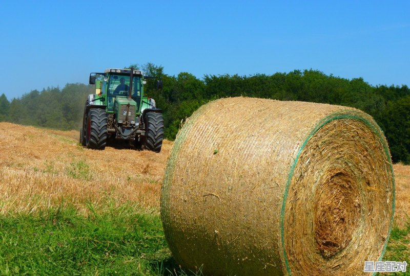 豆秸秆怎样做颗粒配方 - 星座运势