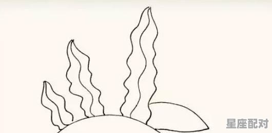 怎样画山东地图简化版 怎样画山东地图简化版 - 星座运势