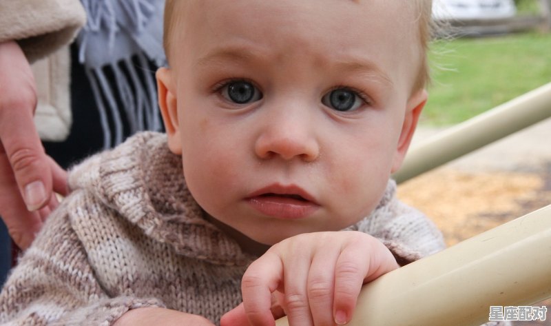 小鸡怎么取名字 - 星座运势