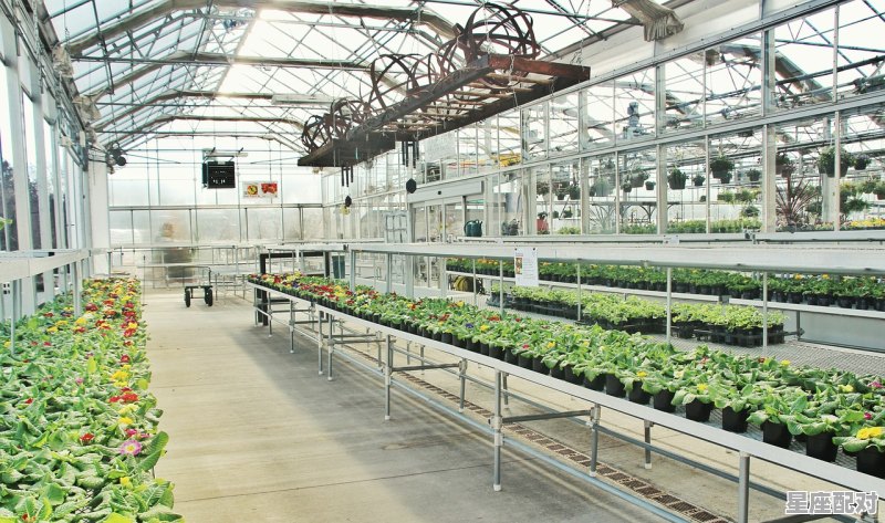 大理兔子化妆店铺叫什么 大理兔子化妆店铺叫什么 - 星座运势