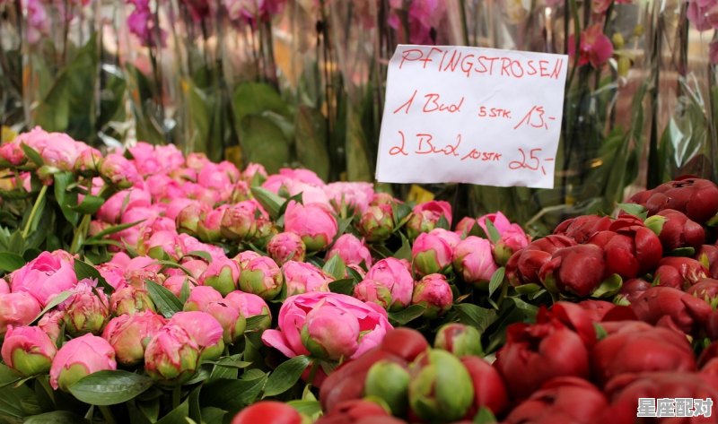 求最具吸引力的油炸食品店名字 - 星座运势