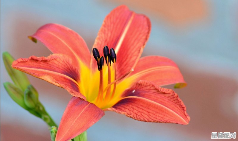 梁武帝是哪个朝代的_梁武帝墓 - 星座运势