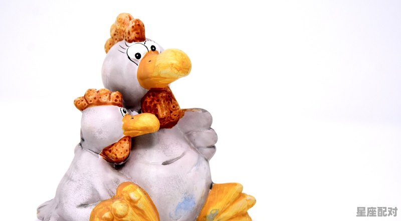 2017年的鸡是什么颜色，今日属鸡运势5.14 - 星座运势