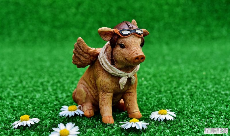 95年的2021属什么,属猪今日运势2021 95年的2021属什么,属猪今日运势2021 - 星座运势