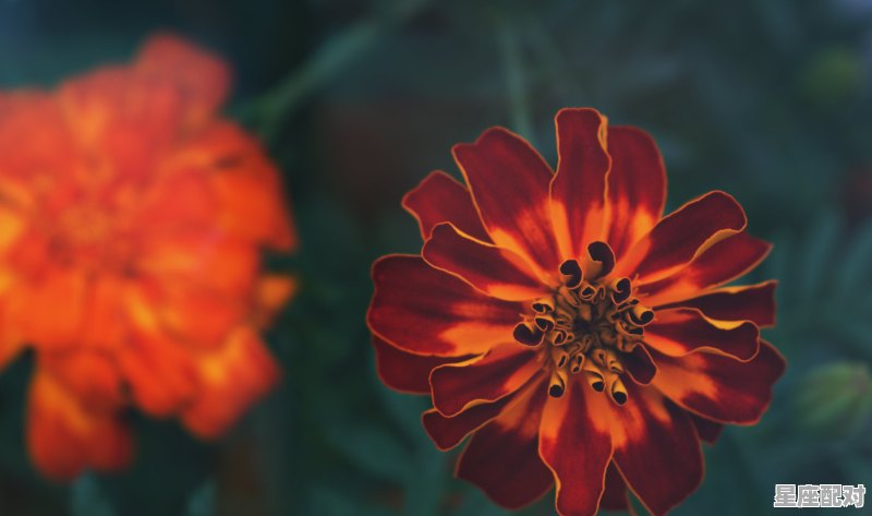 水瓶座性格女特点;水瓶座性格  - 星座运势