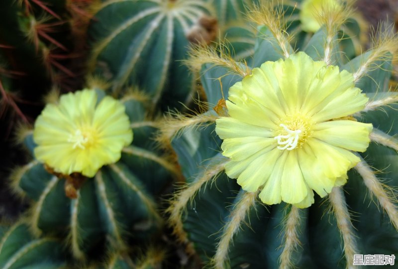 4月份是属于什么星座,4月份是什么星座 4月份是属于什么星座,4月份是什么星座 - 星座运势