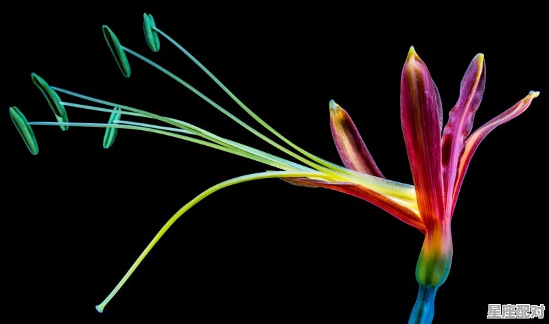 3月分别是什么星座,3月是什么星座 3月分别是什么星座,3月是什么星座 - 星座运势