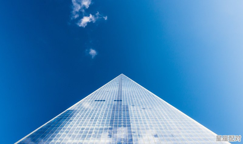 ;十二星座最傻的是什么星座  - 星座运势