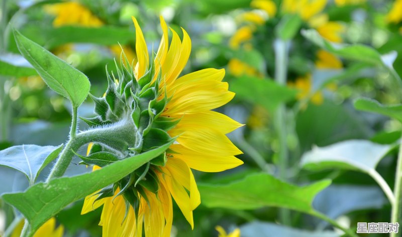10月22日是什么星座的人;10月22日是什么星座  - 星座运势
