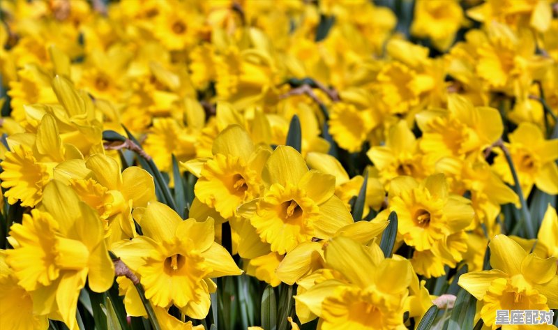 9月生日一般都是什么星座，九月份是什么星座 - 星座运势