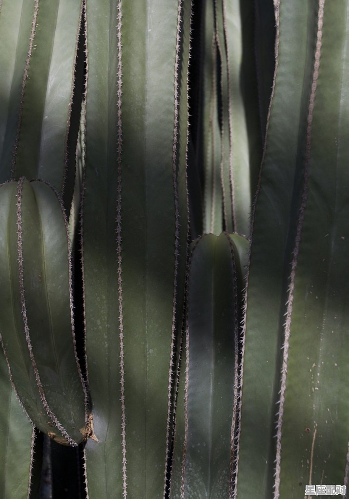 做梦梦到鱼是什么意思;做梦梦到鱼 做梦梦到鱼是什么意思;做梦梦到鱼 - 星座运势