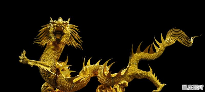 2020年生属什么属相，2020年属什么生肖 - 星座运势