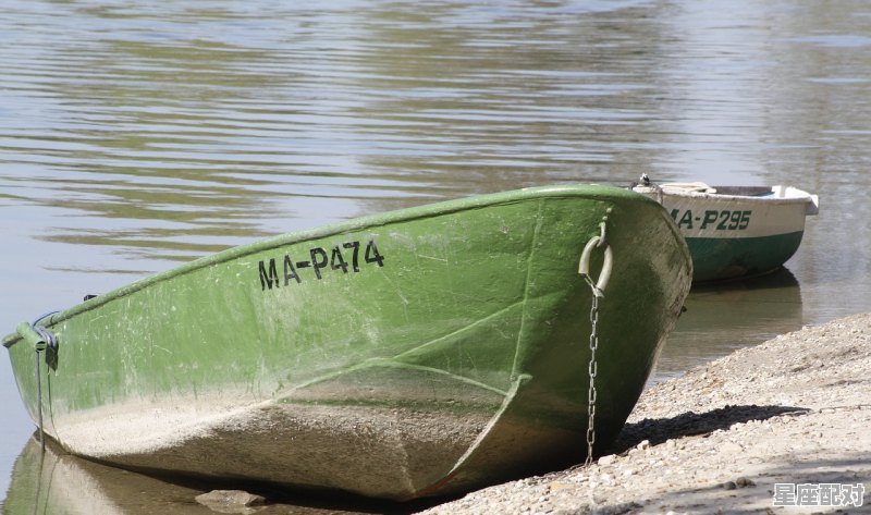 梦到大蟒蛇是什么征兆 女性;梦到大蟒蛇  - 星座运势
