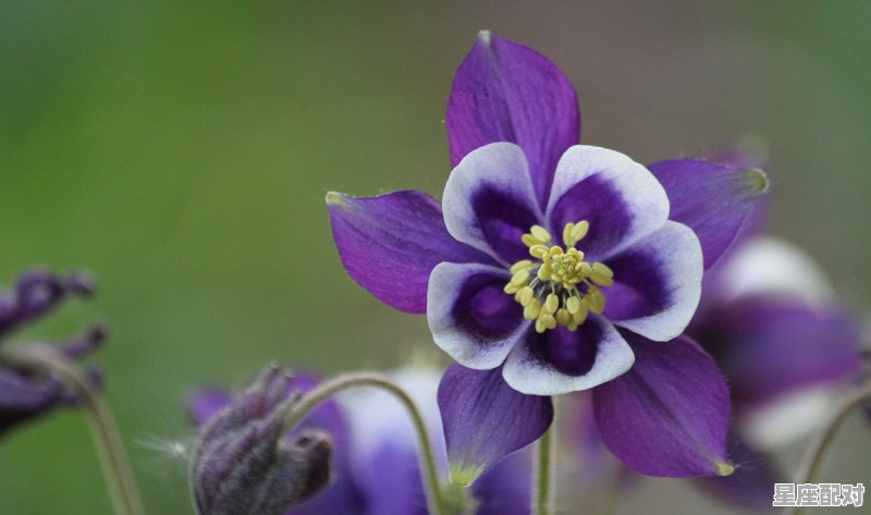 和巨蟹座天作之合的星座配对是什么意思啊;和巨蟹座天作之合的星座配对是什么意思  - 星座运势