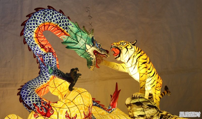 62年是什么虎,1962年是农历什么年 - 星座运势