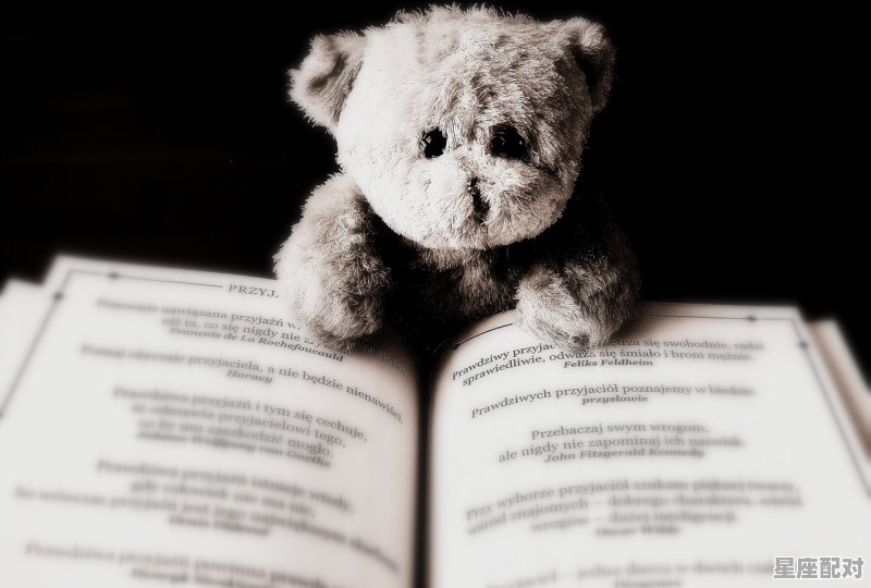 会计出票日期需大写，那12月20日，应该怎么写呢,2020年12月20日发生了什么 - 星座运势