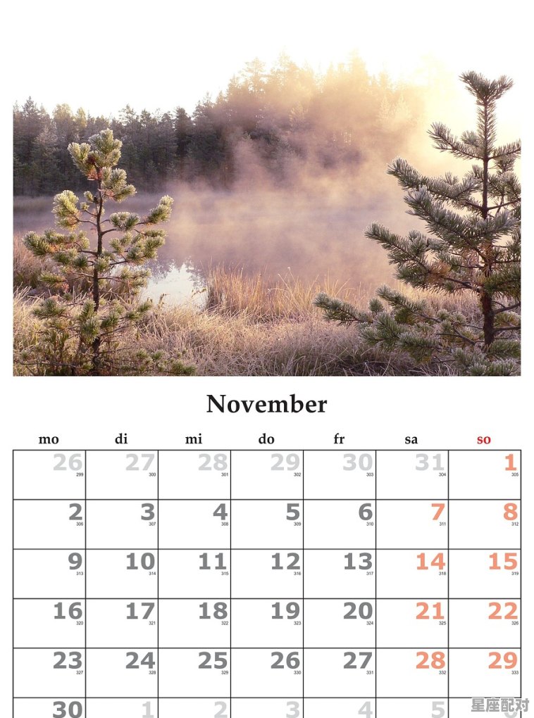 11月26是什么星座农历，11月26日是什么星座 - 星座运势