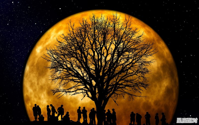 福建中秋拜月吗,福建人过中秋习俗 福建中秋拜月吗,福建人过中秋习俗 - 星座运势