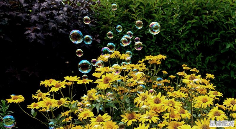 10月份是什么星座的人;10月份是什么星座  - 星座运势