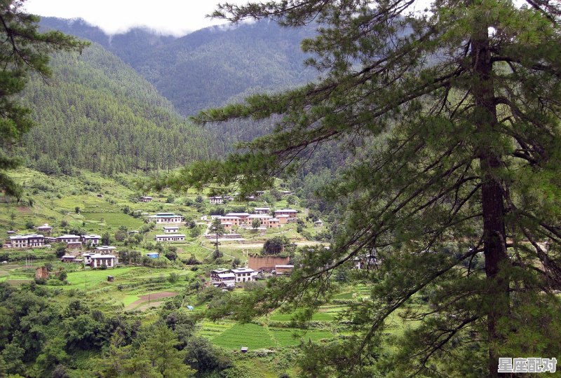 人一般什么年龄掉牙，梦到自己掉牙 - 星座运势