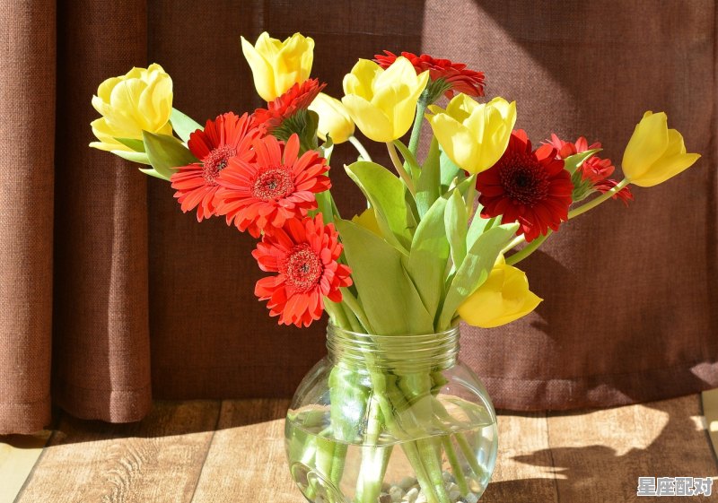 处女座女生和什么星座男生最匹配，性格最合适的星座配对男 - 星座运势