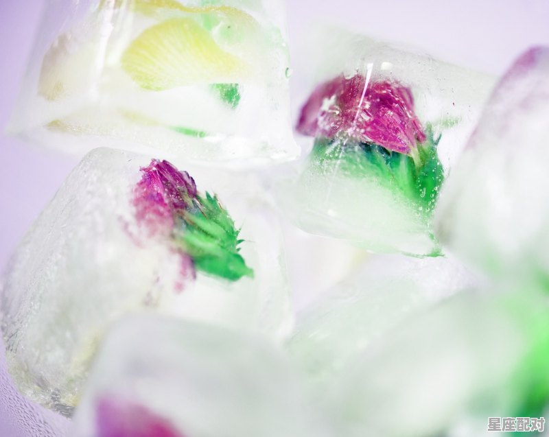 甘雨和申鹤哪个好喝，凉冰什么星座 - 星座运势