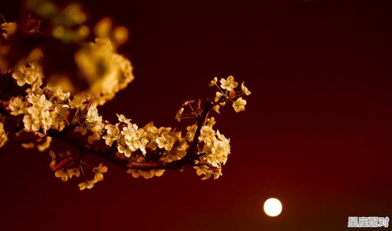 12月份双子座的事业能如愿以偿，双子今日运势气 - 星座运势