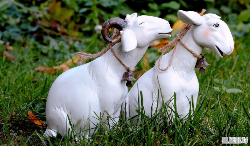 属马蛇人2020年运势运程情感，今日运势猪2020 - 星座运势