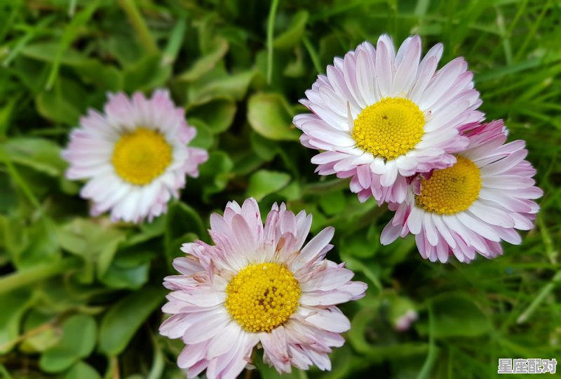 11月6日是什么星座女生;11月6日是什么星座  - 星座运势