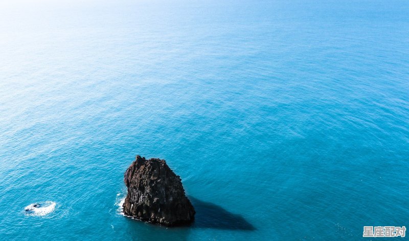 最容易爱上双鱼座的3个星座，双鱼星座喜欢什么 - 星座运势