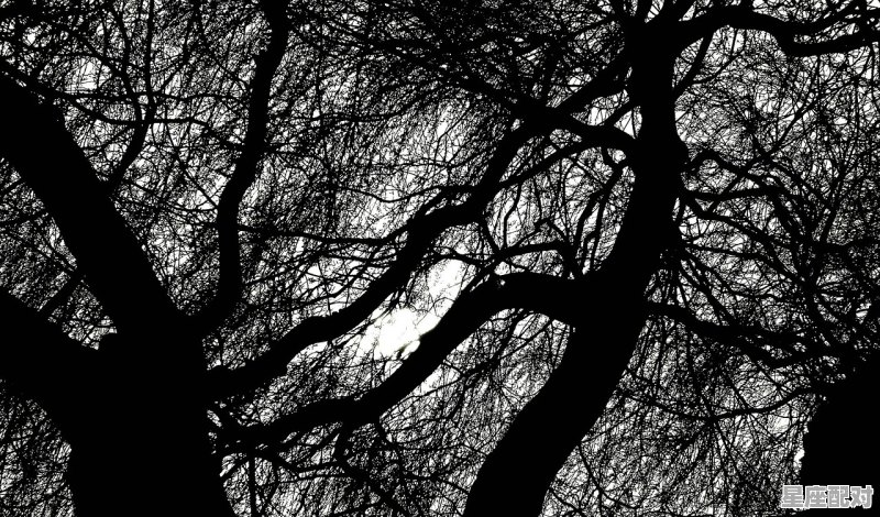 小镇惊魂里的伊拉为什么会被鬼附身,梦到被鬼附身 小镇惊魂里的伊拉为什么会被鬼附身,梦到被鬼附身 - 星座运势