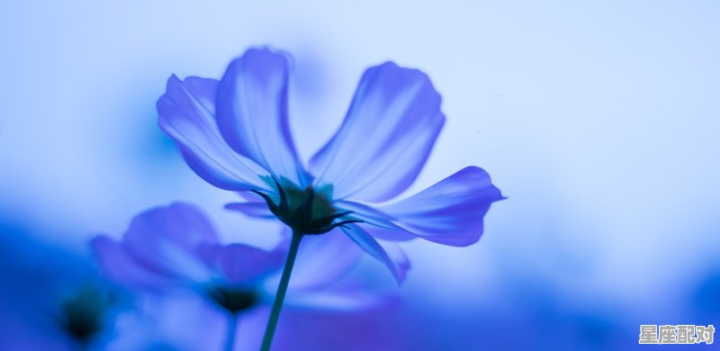 巨蟹座的性格,巨蟹座的性格特点 巨蟹座的性格,巨蟹座的性格特点 - 星座运势