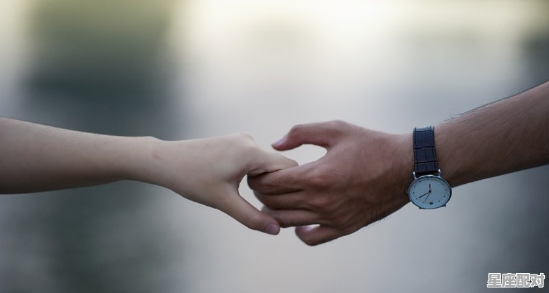 金牛座和天秤座适合做夫妻吗,为什么金牛座和天秤座最般配 金牛座和天秤座适合做夫妻吗,为什么金牛座和天秤座最般配 - 星座运势