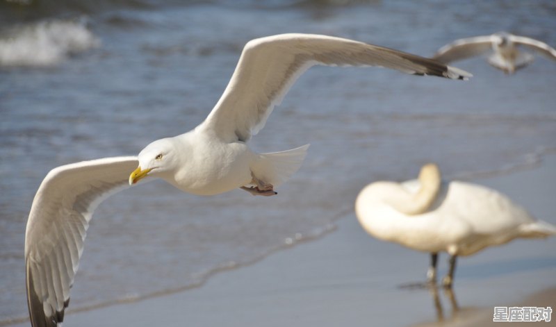 抱着男孩什么意思，梦到抱着 - 星座运势