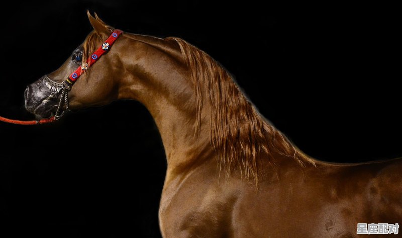 威风凛凛露凶光的动物,威风凛凛显英雄,千里之行歇一歇.打一生肖 威风凛凛露凶光的动物,威风凛凛显英雄,千里之行歇一歇.打一生肖 - 星座运势