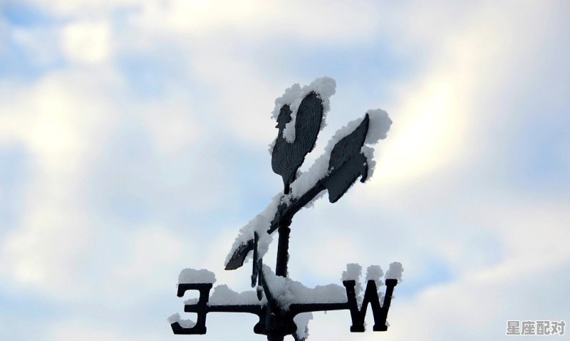 背道而行的意思,南辕北辙是什么生肖 背道而行的意思,南辕北辙是什么生肖 - 星座运势