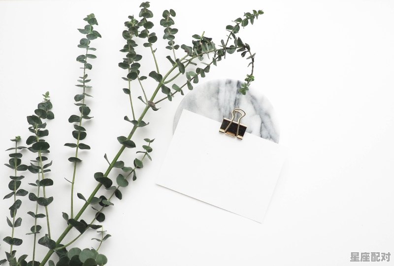 五竹是什么人;五竹什么星座  - 星座运势