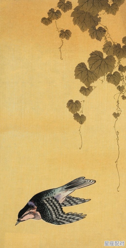 画龙点睛我自知打一动物，画龙点睛是什么生肖 - 星座运势