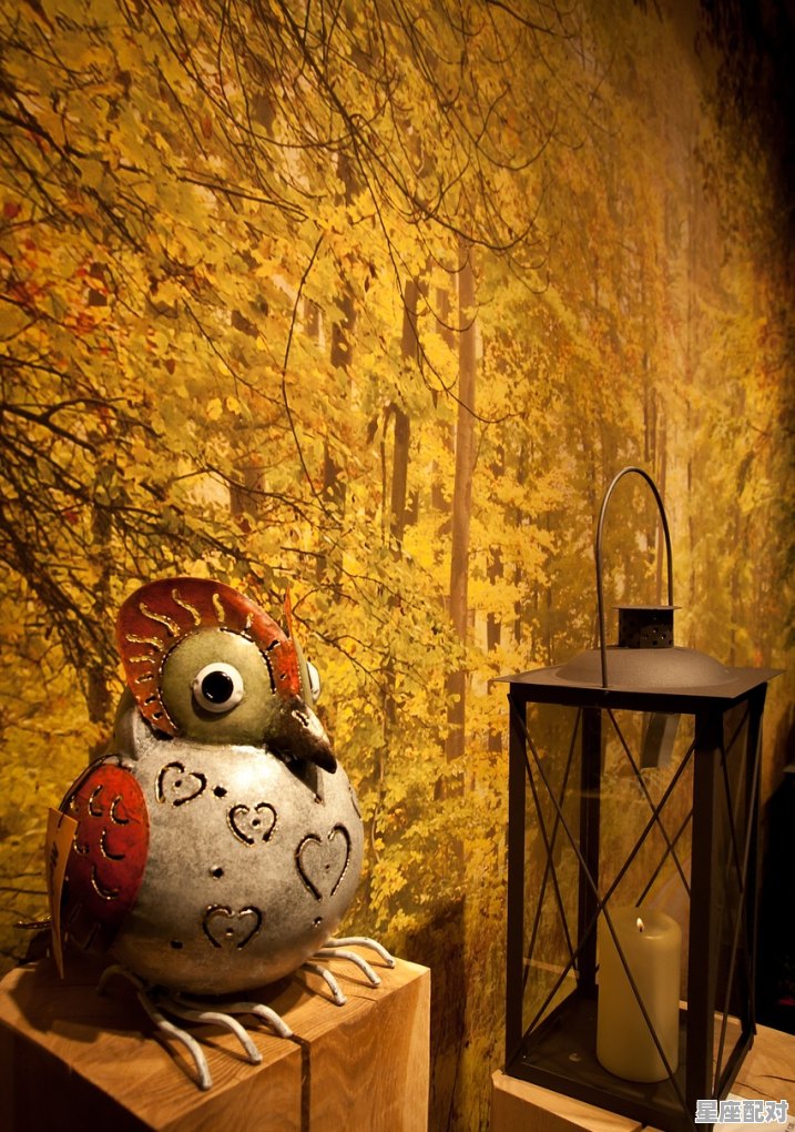 梦到蟒蛇是什么征兆 女性;梦到蟒蛇  - 星座运势