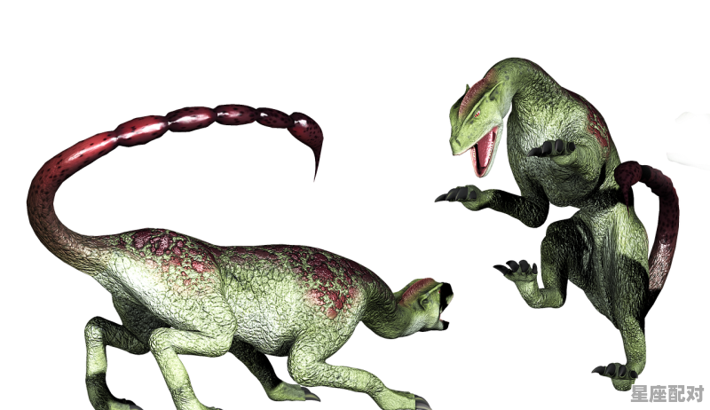 3d字谜一年四季开门入猜什么数字,一年四季九轮回的动物有哪些 - 星座运势