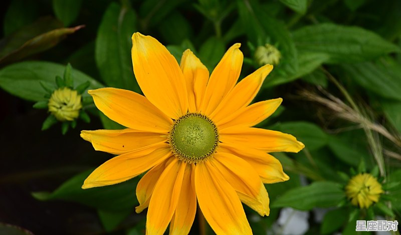 巨蟹座男的性格脾气;巨蟹座男的性格  - 星座运势