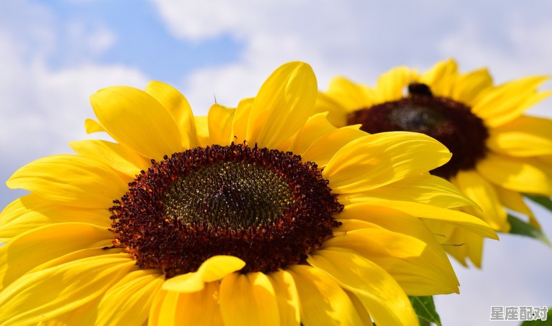 7月7号是什么星座的,7月份对应什么星座 - 星座运势