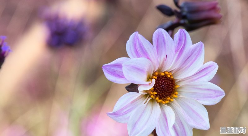 一生一旬一世是多少年,形容一生的词语 一生一旬一世是多少年,形容一生的词语 - 星座运势